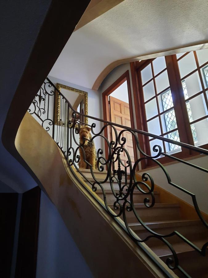 Le Clos Des Soyeux Saint-Victor-sur-Rhins Εξωτερικό φωτογραφία