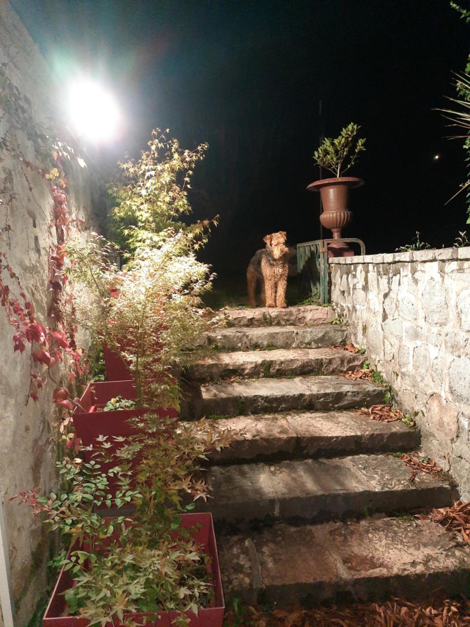 Le Clos Des Soyeux Saint-Victor-sur-Rhins Εξωτερικό φωτογραφία